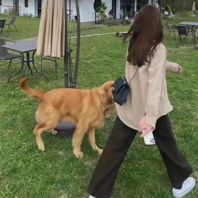 茉莉花